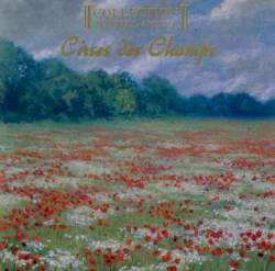 Collection d'Arnell-Andrea : Cirses des Champs